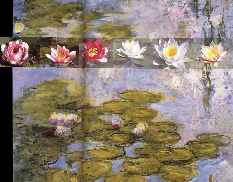 Claude Monet Detail from Water Lilies china oil painting image